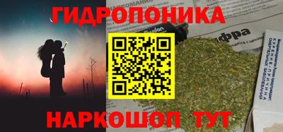гашик Кулебаки