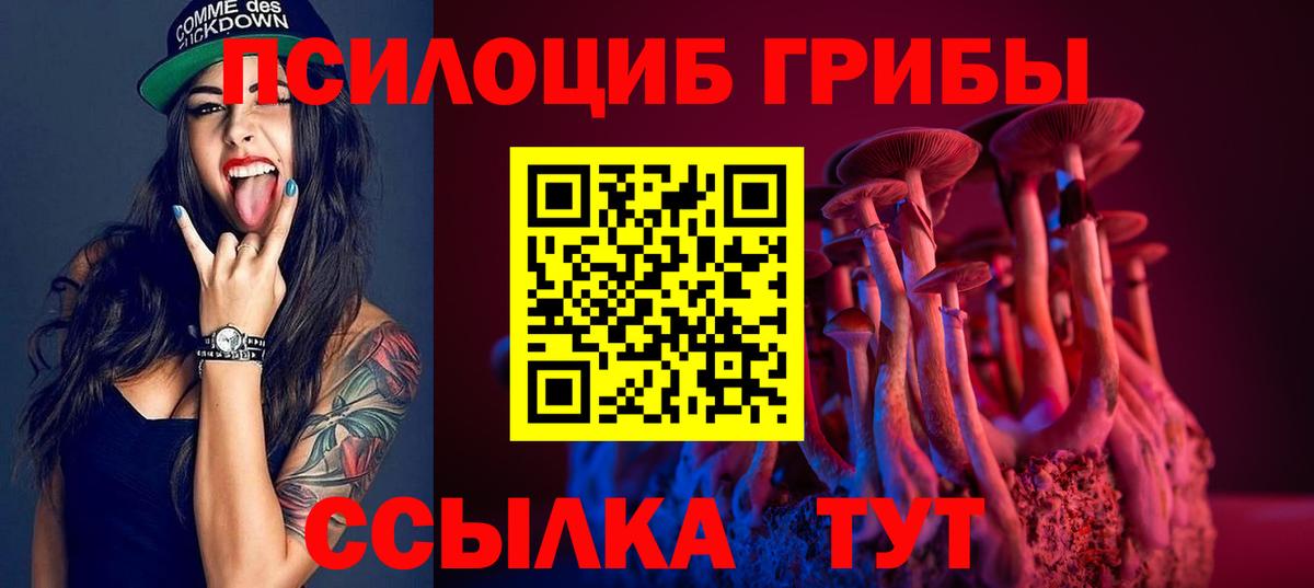 где найти   Галлюциногенные грибы Cubensis  Вход с VPN  Саранск 